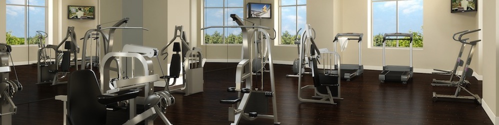 Fitness & wellness centra